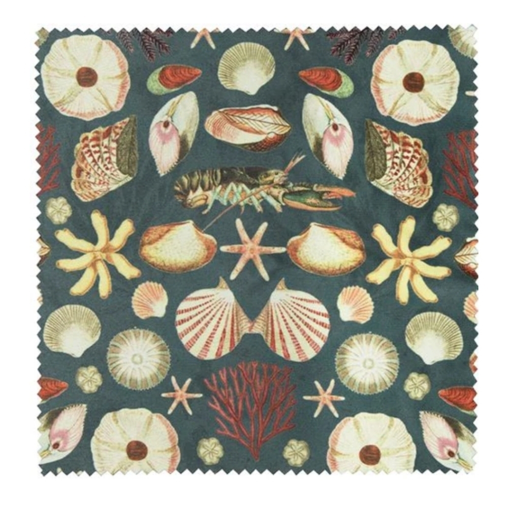 ❤️BUY 2 GET 1 FREE Archive Oceans Shell Glasses Case, Retail Price$27.99US - Picture 3 of 6